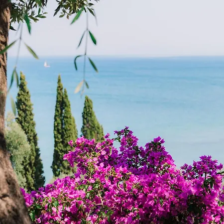 Zoela Corfu - 2 Seperate With Full Privacy *