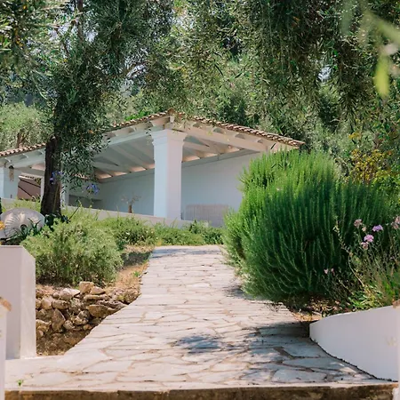 펜션 Zoela Corfu - 2 Seperate With Full Privacy *